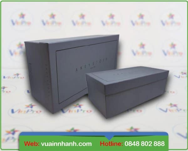 IN HỘP GIẤY ĐỰNG GIÀY 42 In hộp giấy đựng giày giá rẻ tại tphcm