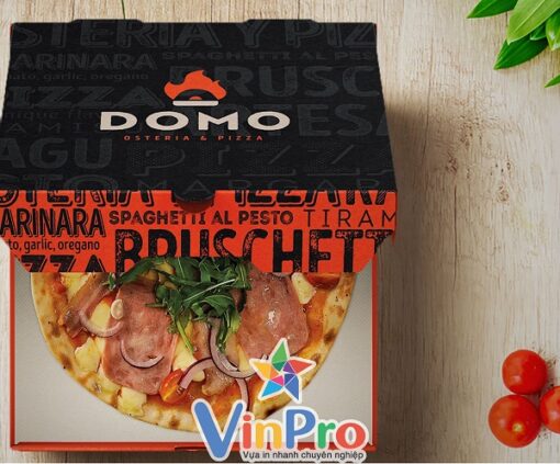 IN HỘP GIẤY ĐỰNG PIZZA 20