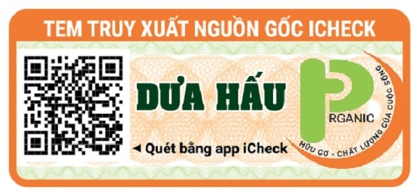 Mẫu tem dán số 25