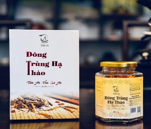 in tem đông trùng hạ thảo