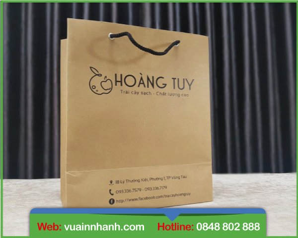 Mẫu túi giấy Kraft đẹp - 8