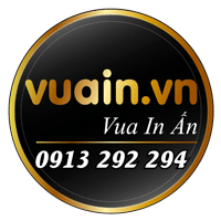 logo vuain