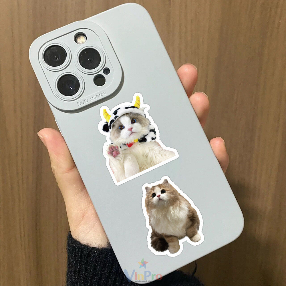 sticker mèo cute - 25