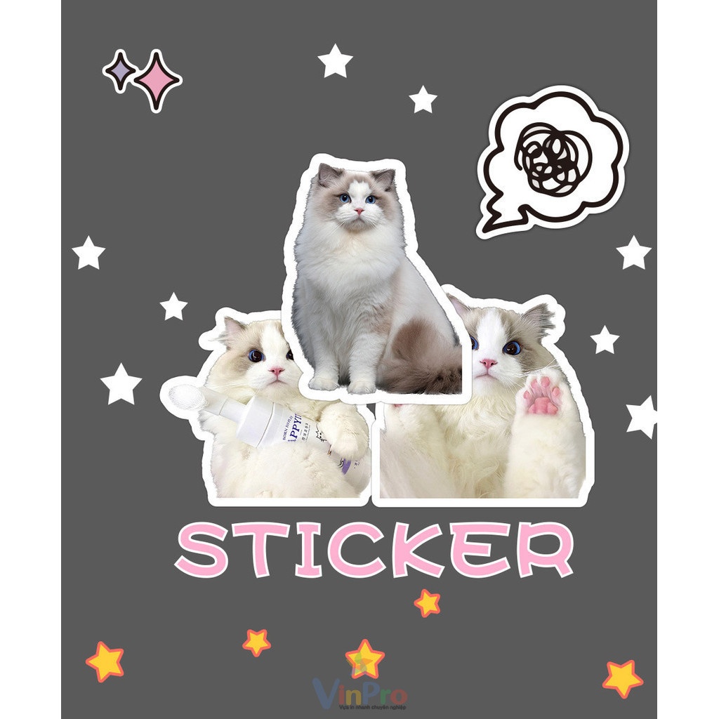 sticker mèo cute - 4