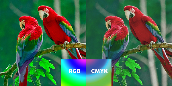 Màu CMYK và RGB có gì khác biệt? 