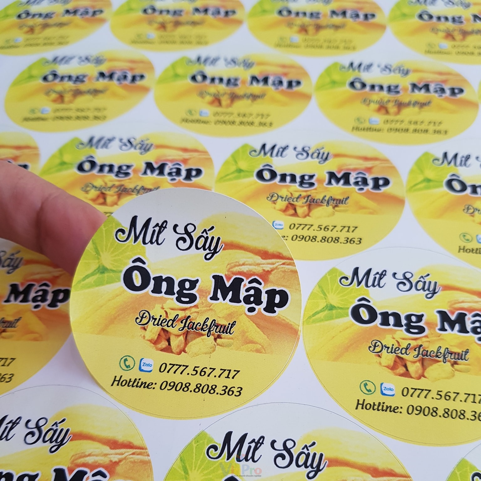 Mẫu tem dán mít sấy hình tròn