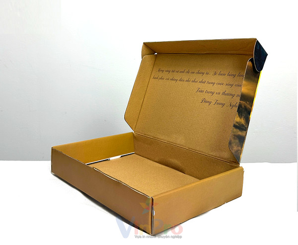 Mẫu hộp giấy carton đựng khô bò kiểu nắp gập